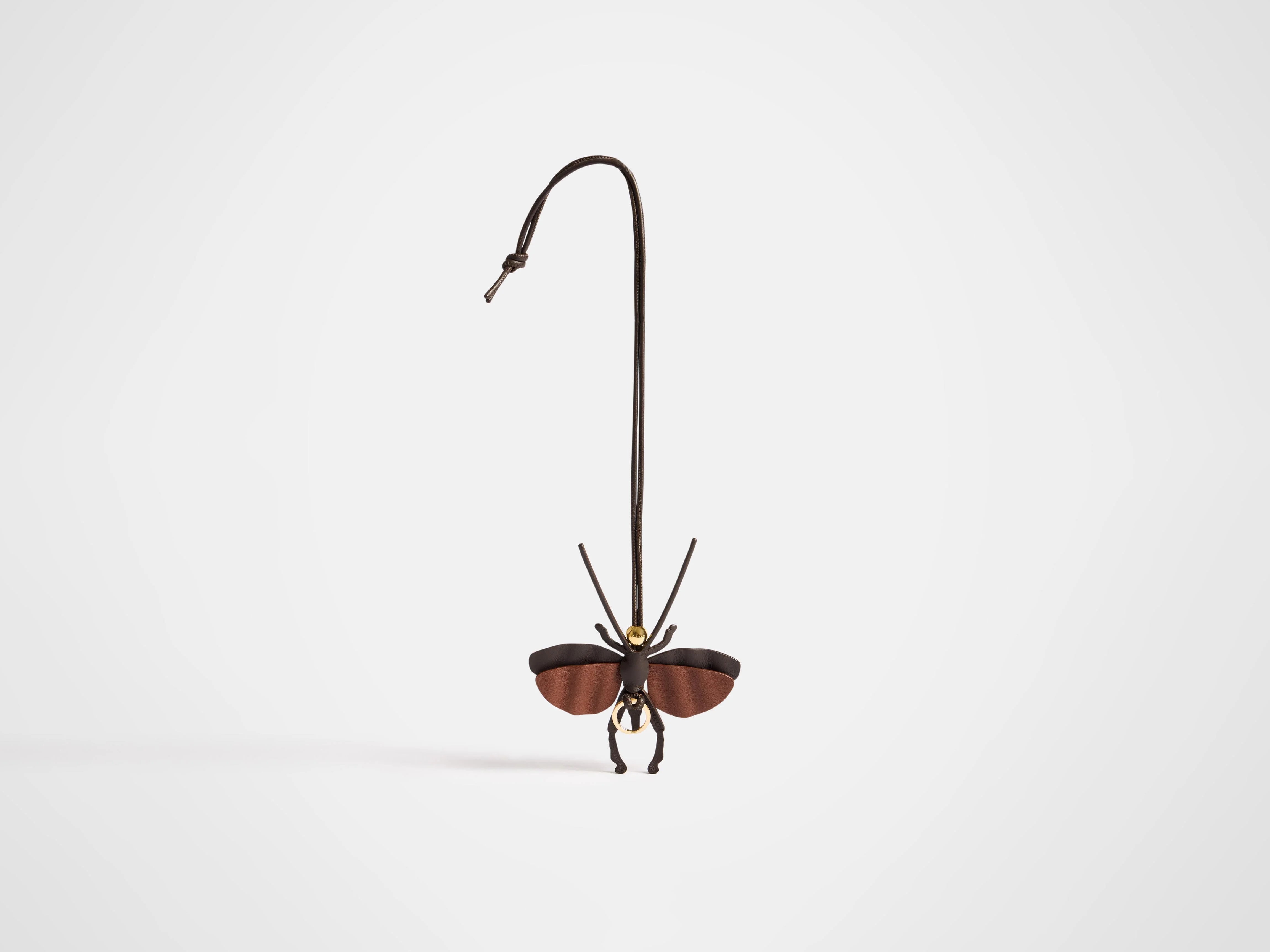 MOTH CHARM IN CHOCOLATE BROWN - 1