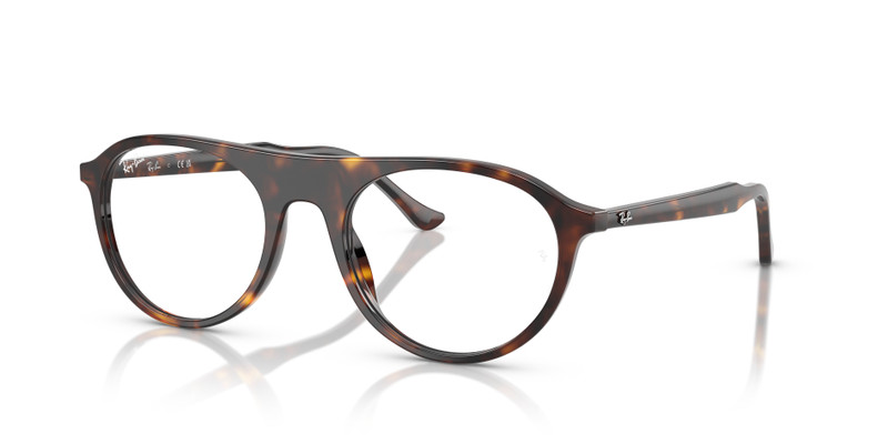 RB5441 OPTICS 1