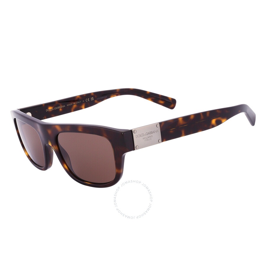Dolce and Gabbana Dark brown Rectangular Men's Sunglasses DG4432 502/73 52 - 4