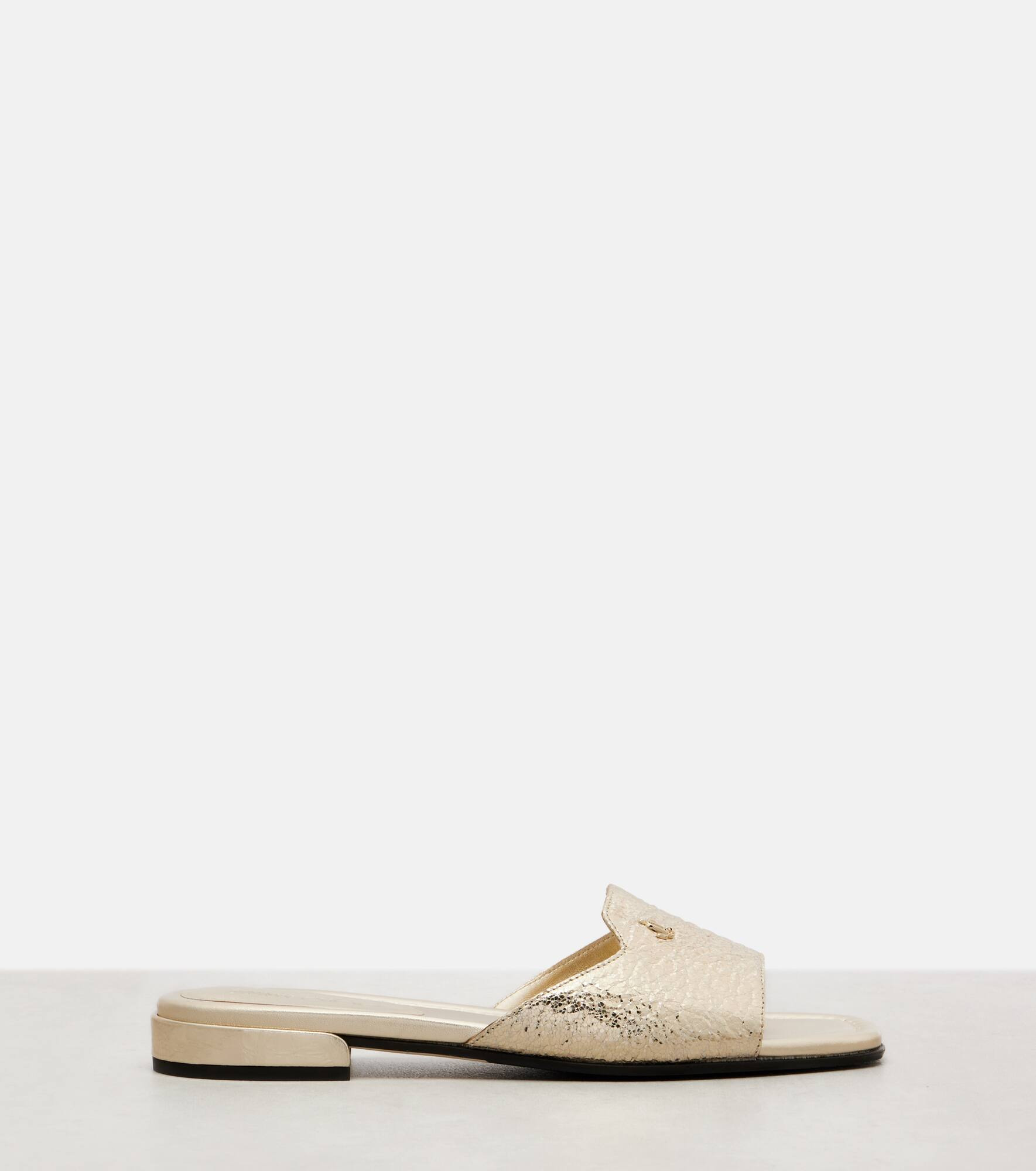 Dina metallic slides - 4
