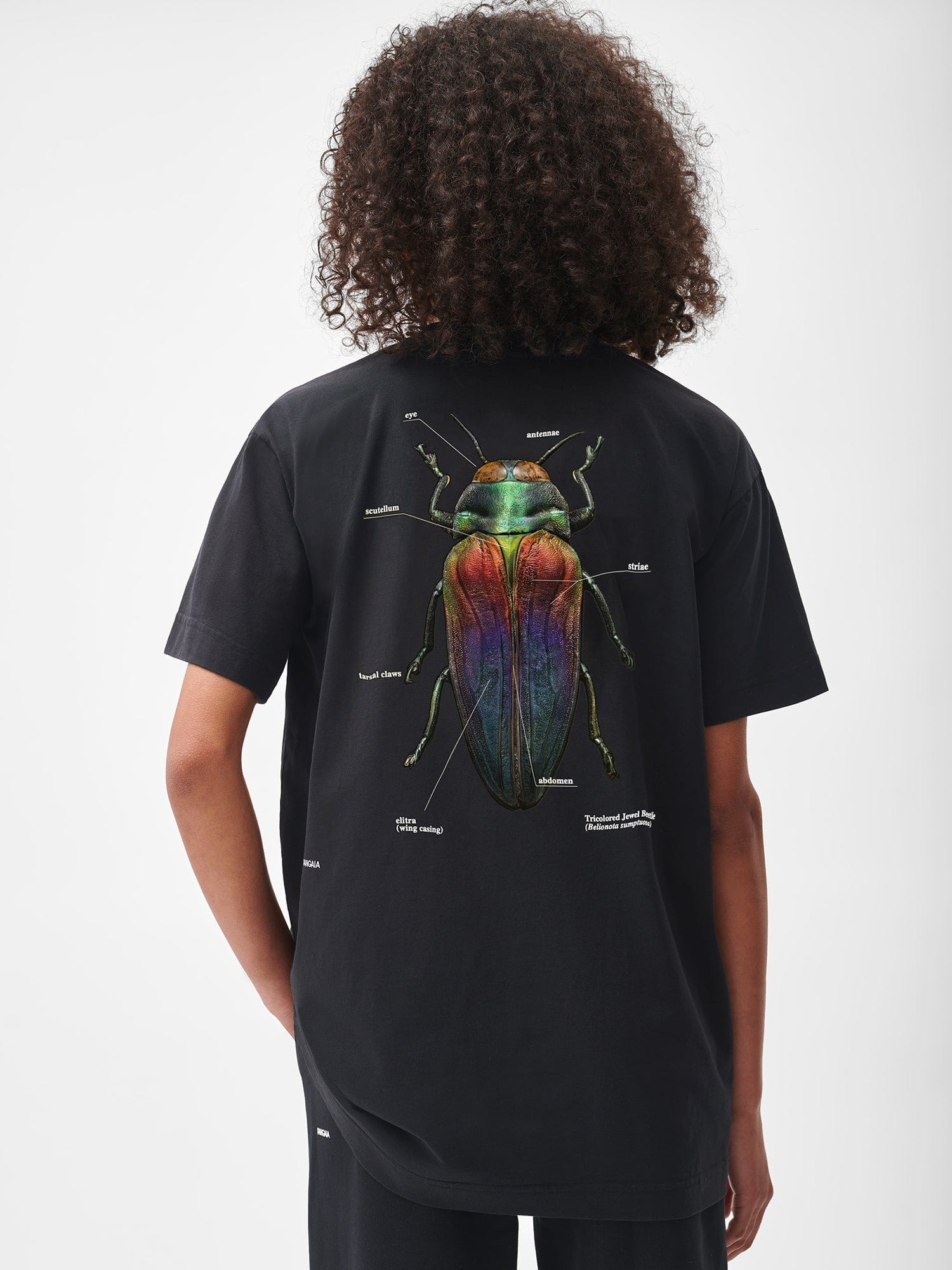 PANGAIA X Levon Biss Tricolored Jewel Beetle T-shirt - Black - 4