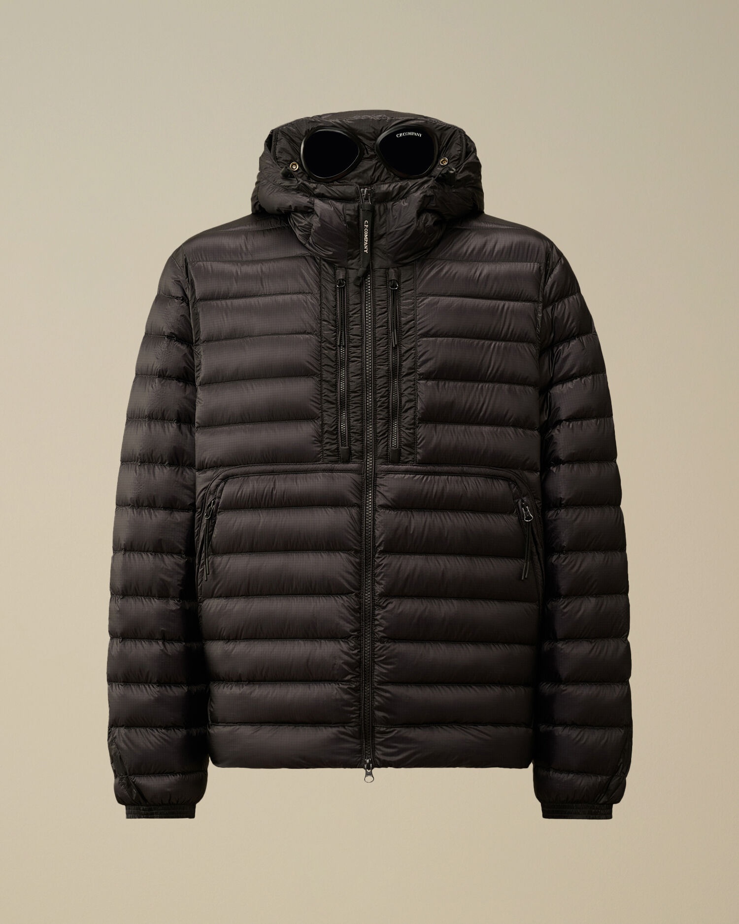 D.D. Shell Goggle Down Jacket - 1