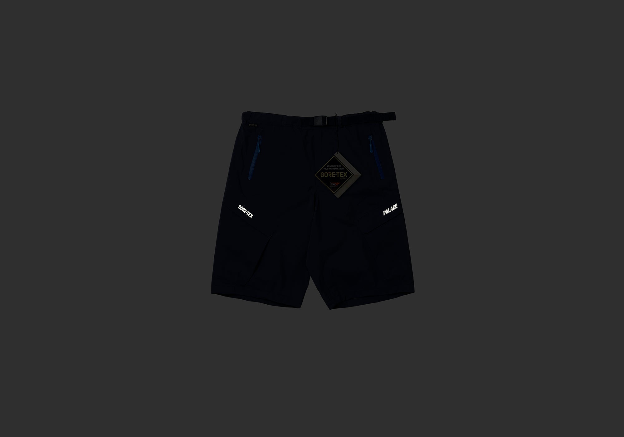 PALACE GORE-TEX R-TEK CARGO SHORT NAVY | REVERSIBLE