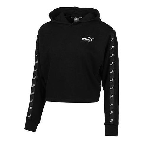 Puma amplified hoodie online