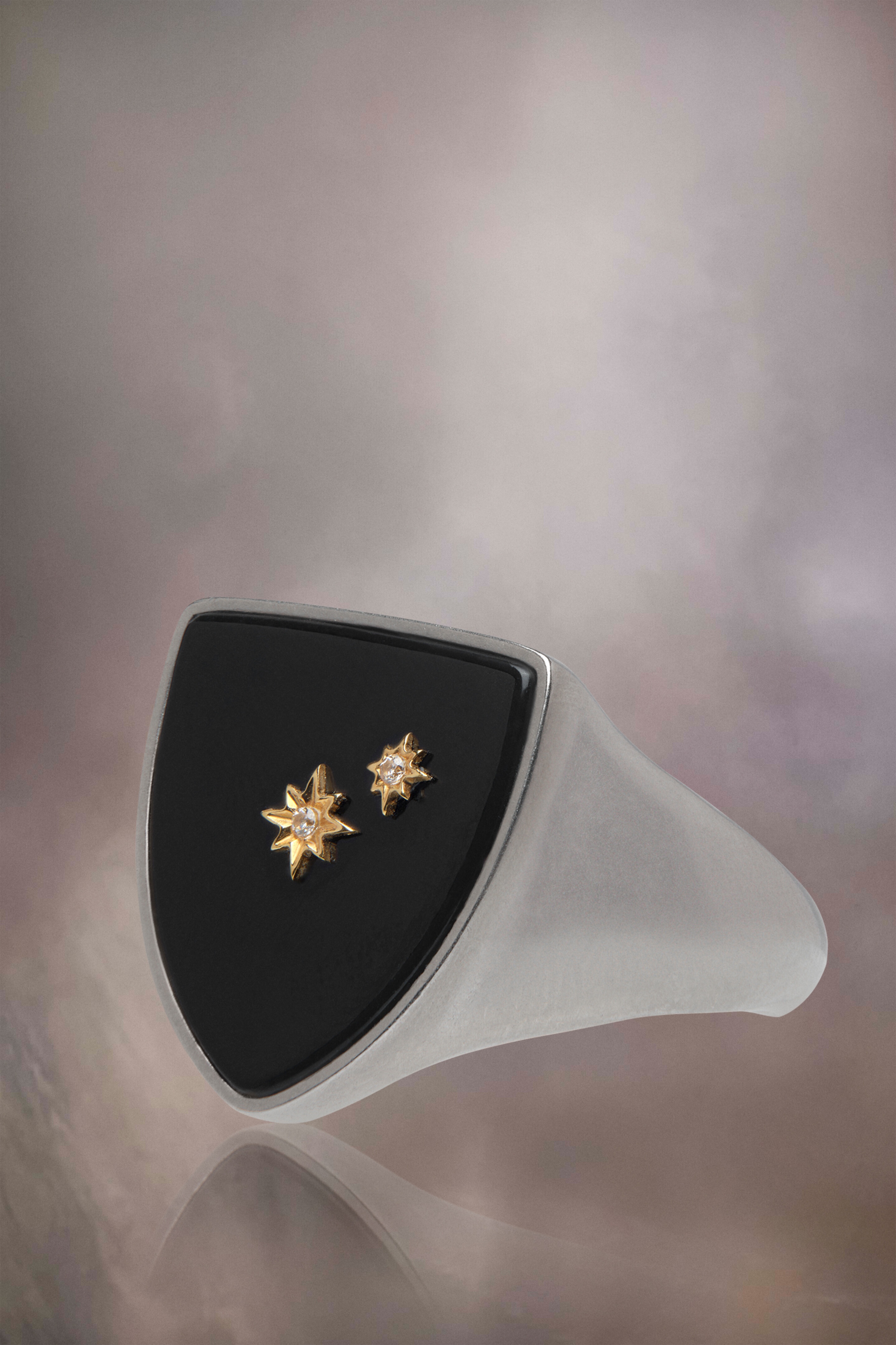 Enamel signet ring - 2
