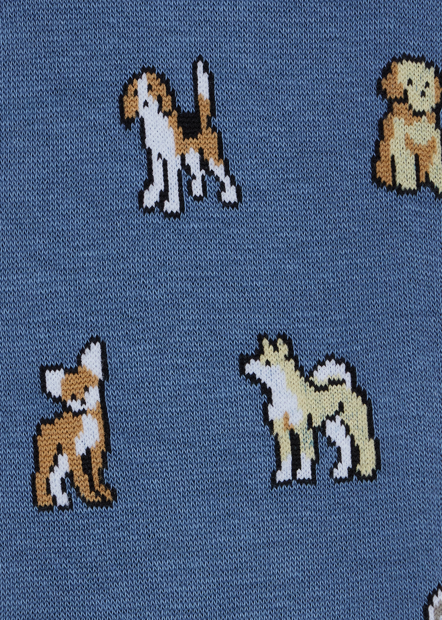 Blue Cotton-Blend 'Dogs' Socks - 3