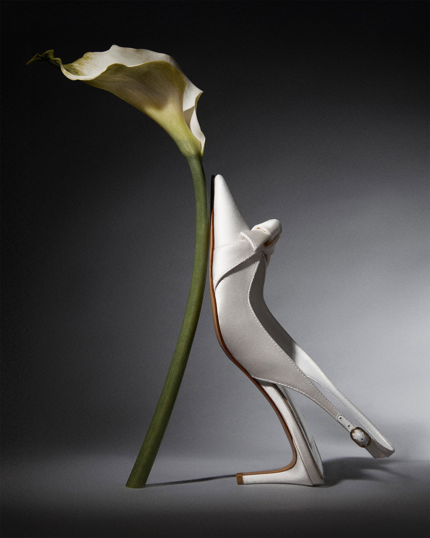 CLARITA CLASSIC SLINGBACK 60 BIANCO - 6