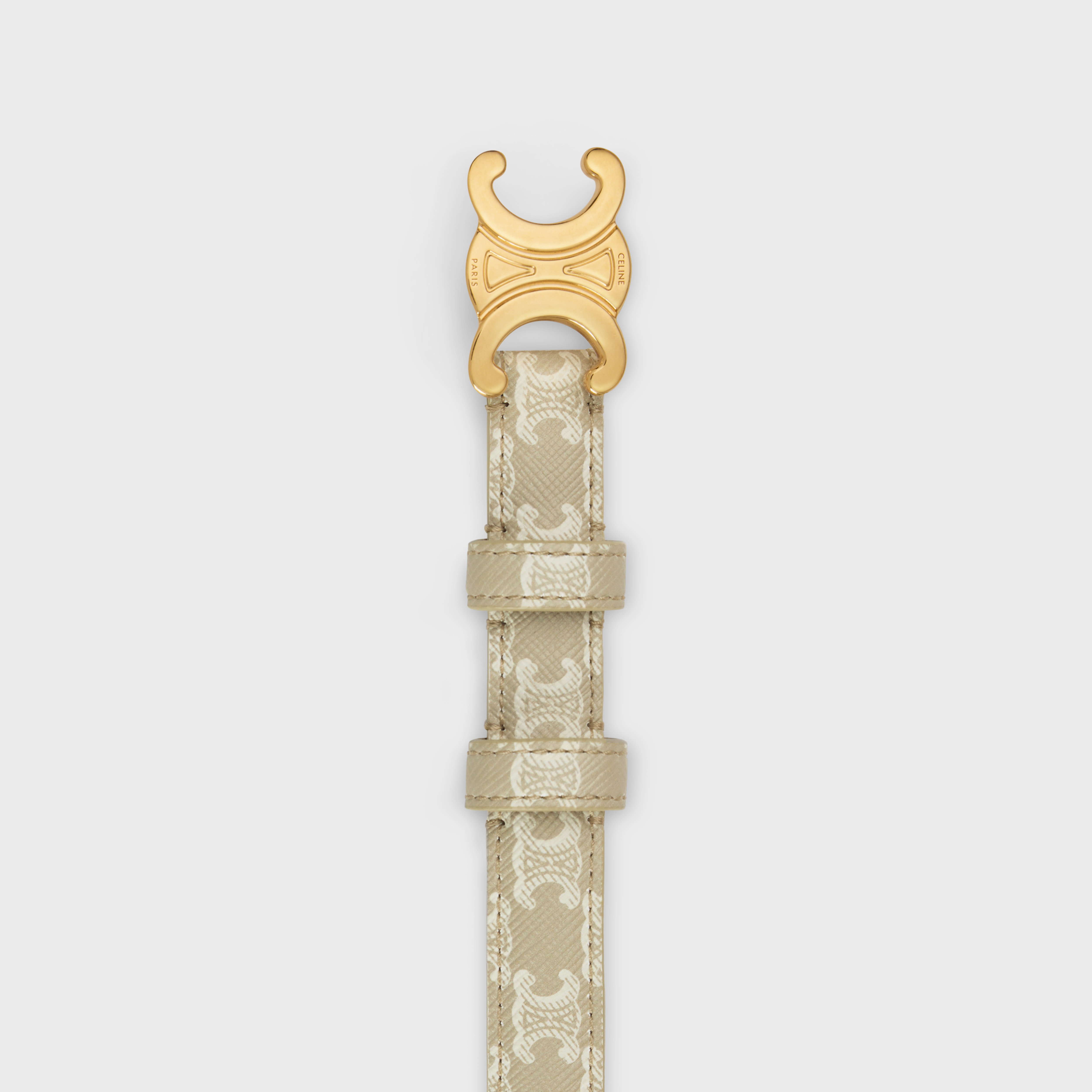 Small Triomphe Belt in Triomphe canvas - 2