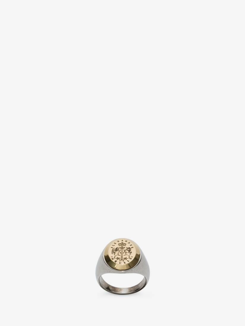 Signet Ring in Antique Silver - 1