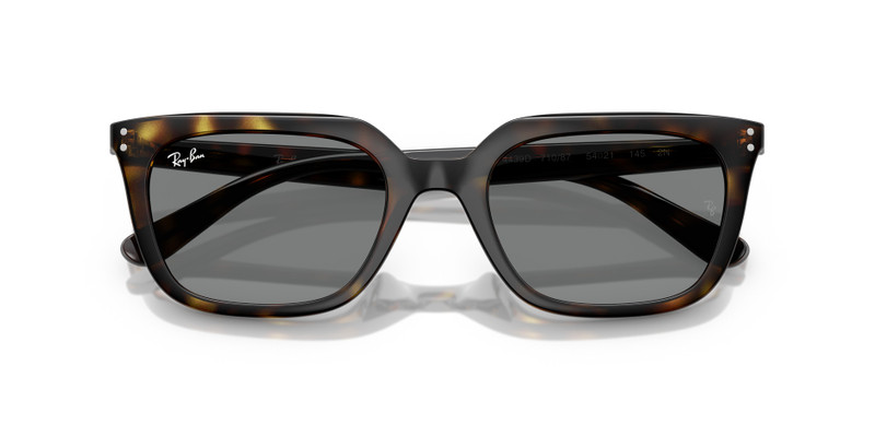 Ray-Ban RB4439D outlook