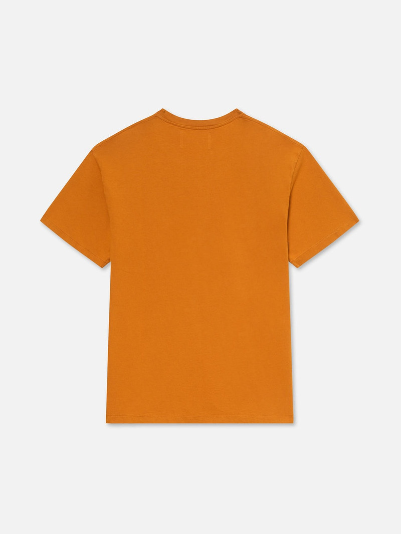 FRAME Vintage Tee in Rust outlook