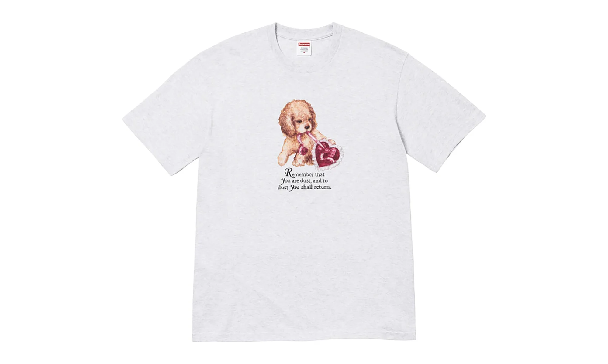 Dust Tee "FW25 - Ash Grey" SU26813 - 1