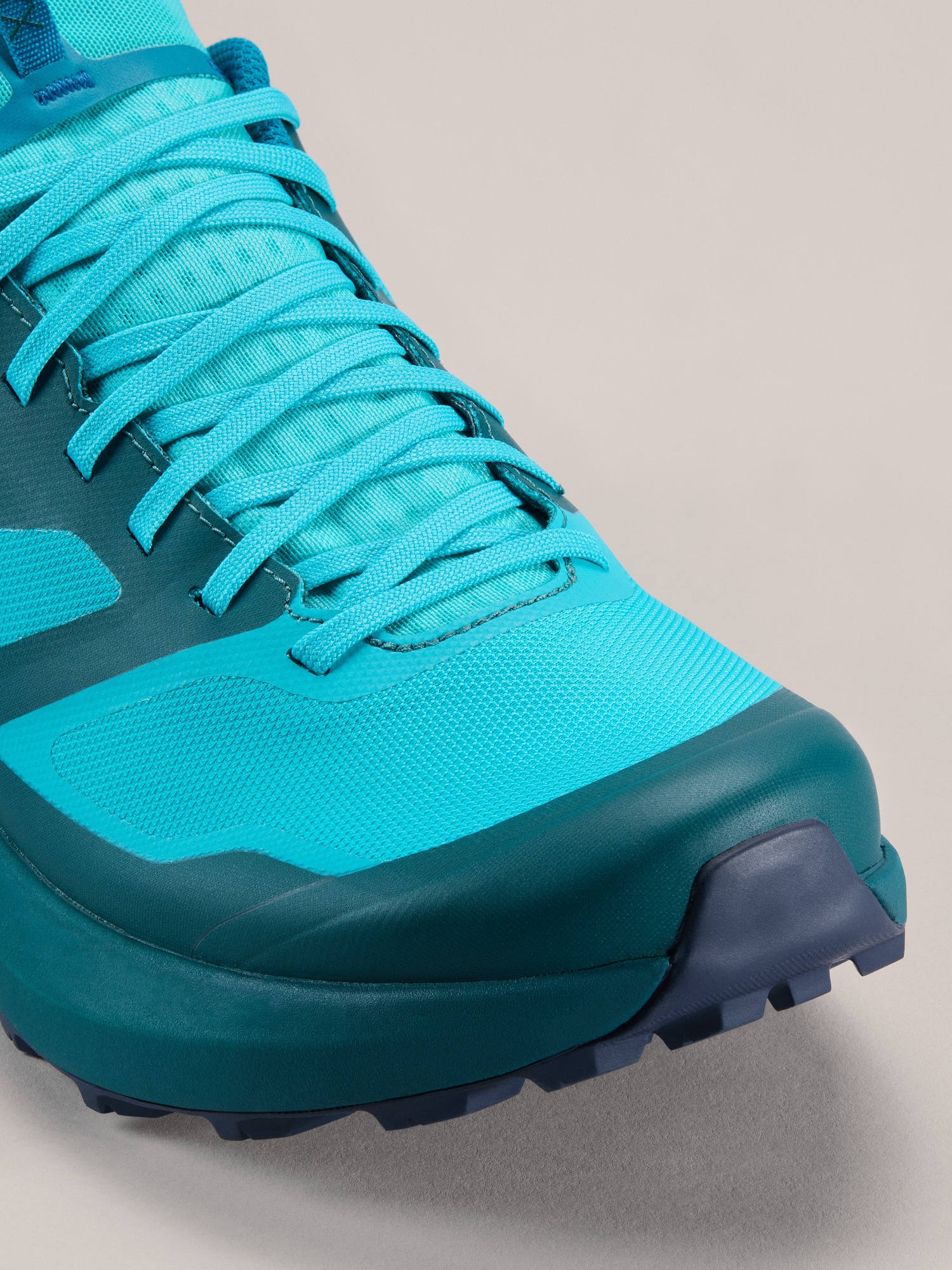 Norvan LD 3 GTX Shoe - 2