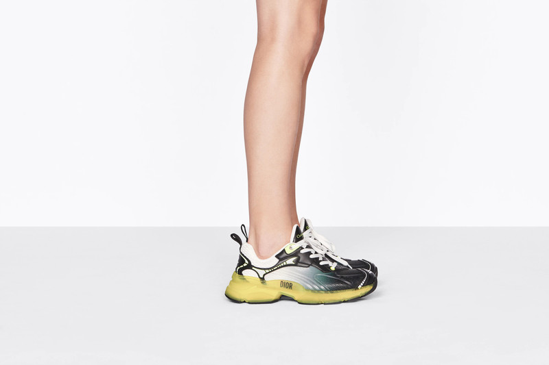 Dior Dior Vibe Sneaker outlook