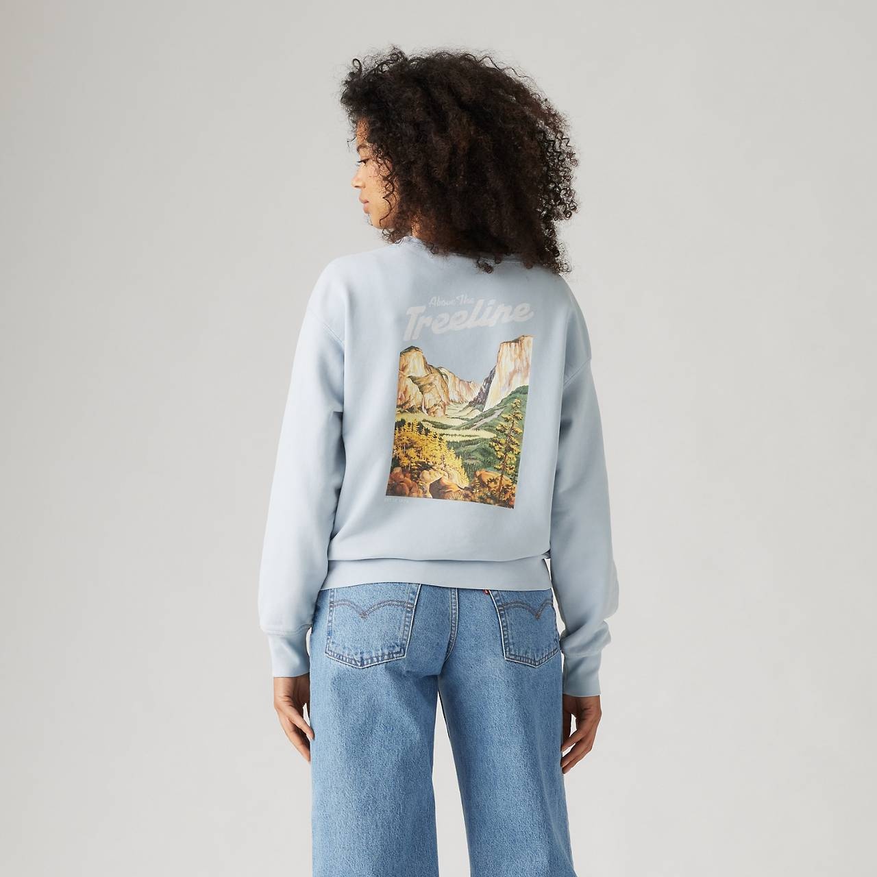 GRAPHIC HERITAGE CREWNECK SWEATSHIRT - 4