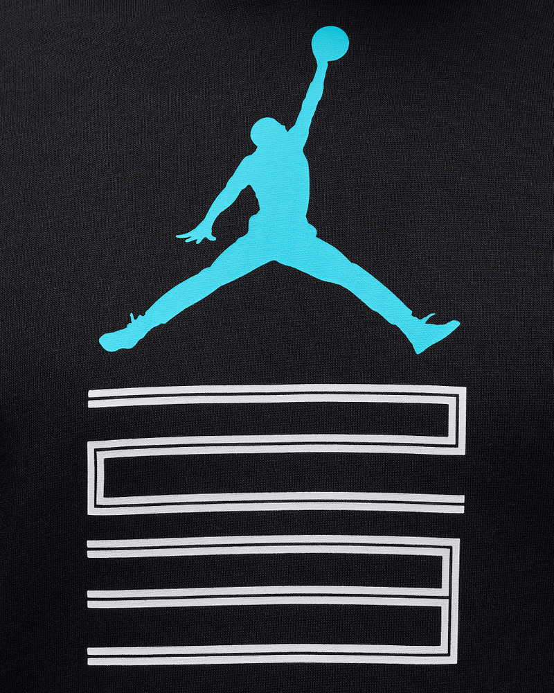 Jordan AJ11 Gamma Fleece Men's Pullover Hoodie 4