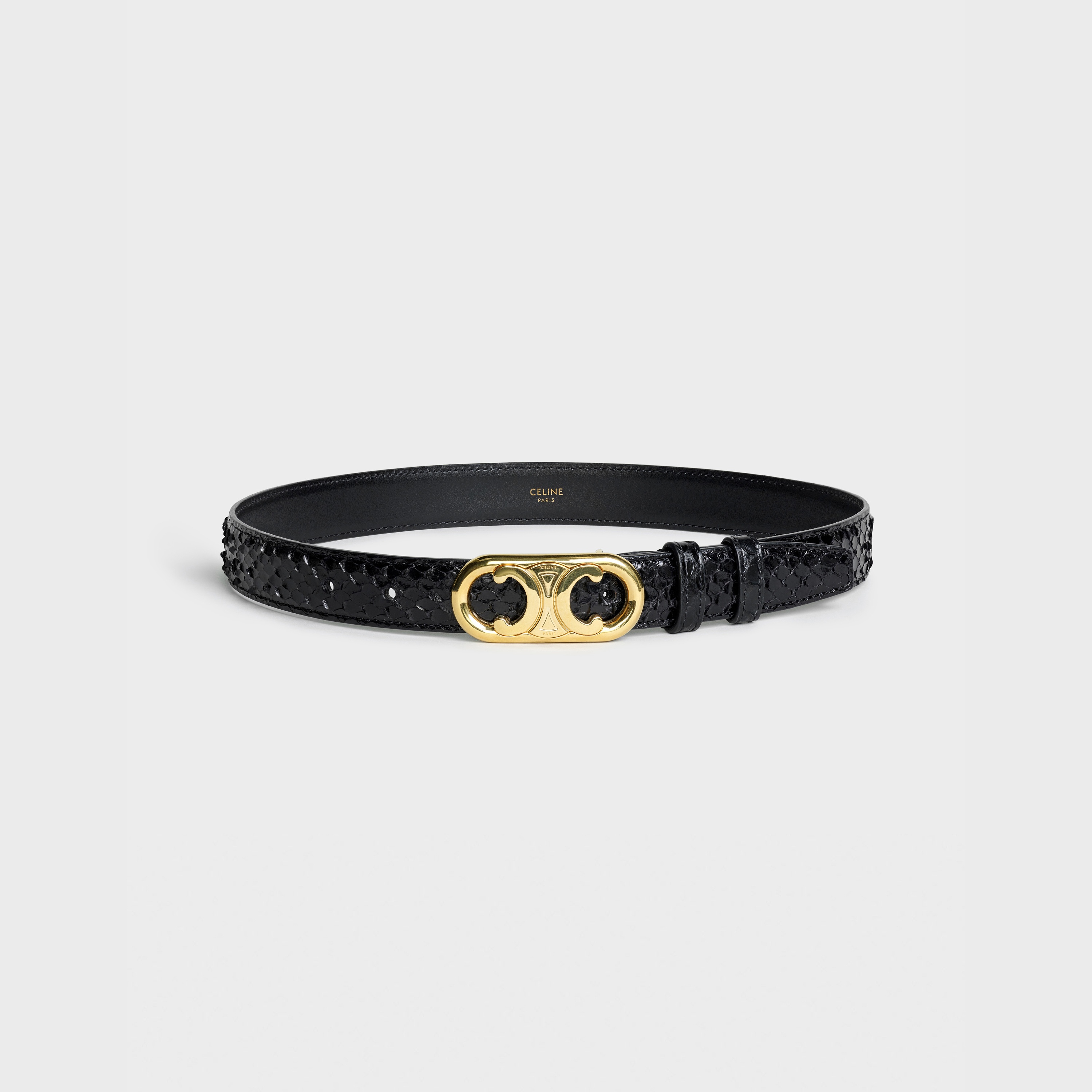 MEDIUM MAILLON TRIOMPHE BELT in Watersnake - 3