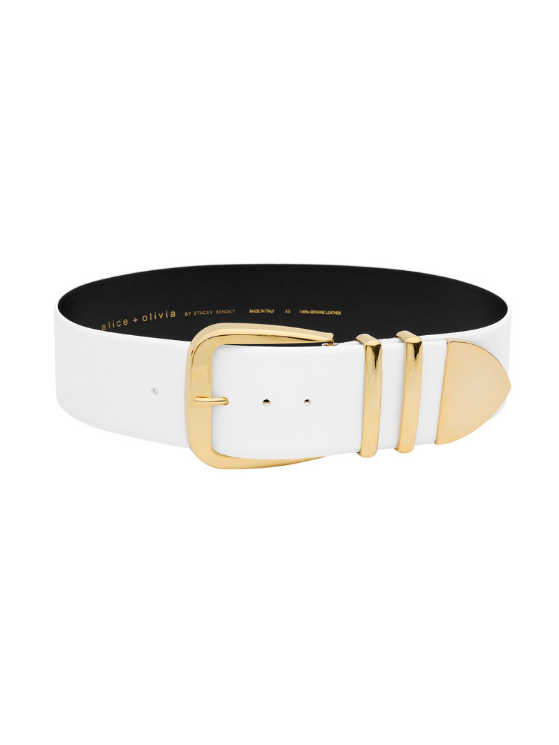 HARLEY WIDE BELT 5