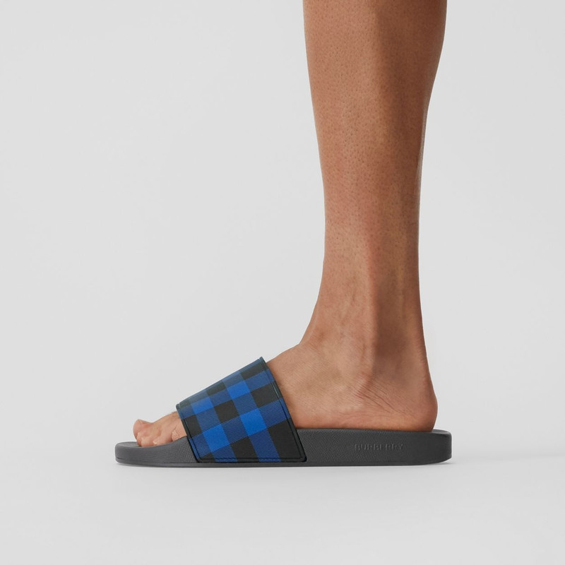 Check Print Slides 8