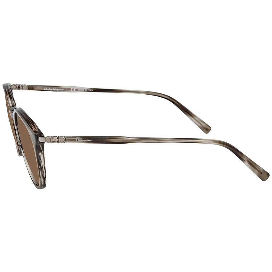 Salvatore Ferragamo Brown Round Ladies Sunglasses SF911S 003 53 - 4