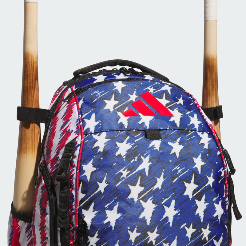 Dugout P Backpack 5