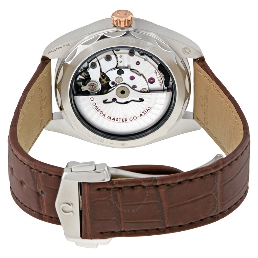 Omega Seamaster Aqua Terra Automatic Men's Watch 220.23.41.21.02.001 - 3