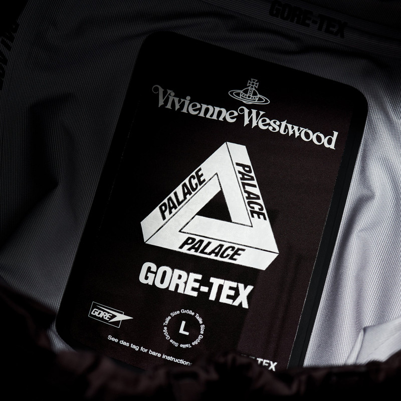 PALACE VIVIENNE WESTWOOD GORE-TEX TROUSER MONO PRINT 4
