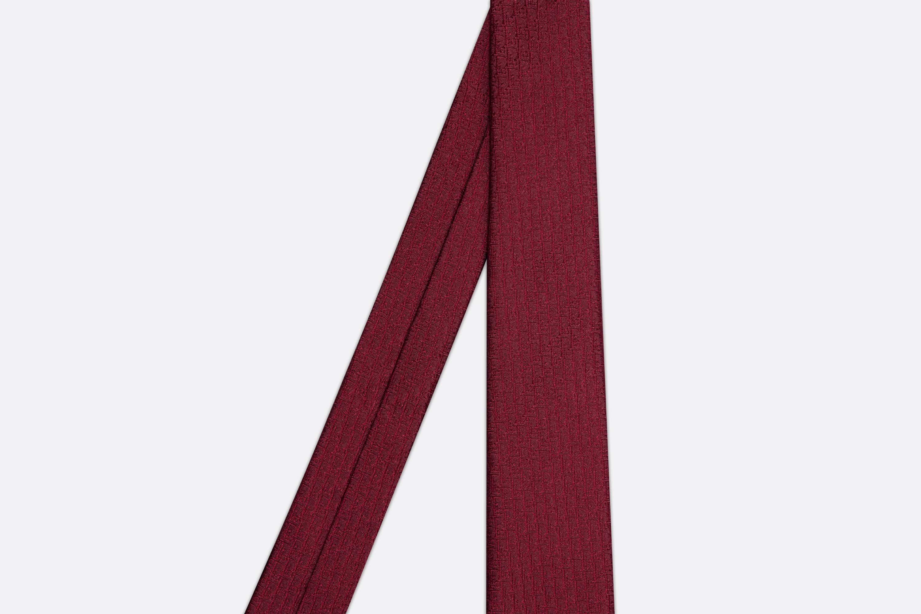Dior Oblique Tie - 2