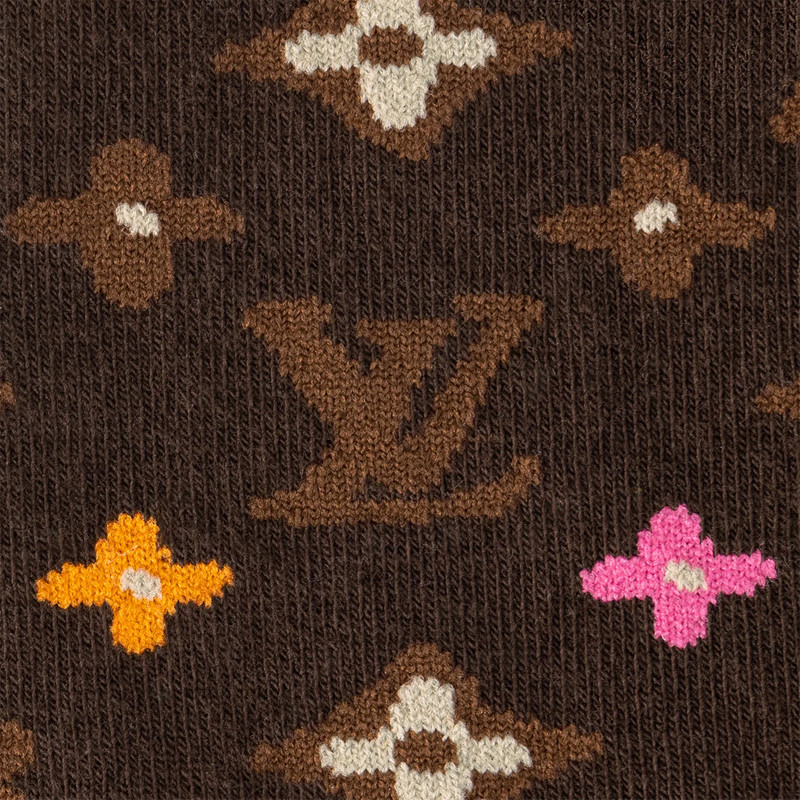 Louis Vuitton Monogram Craggy Socks outlook