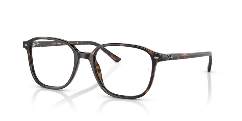 LEONARD TRANSITIONS® 1