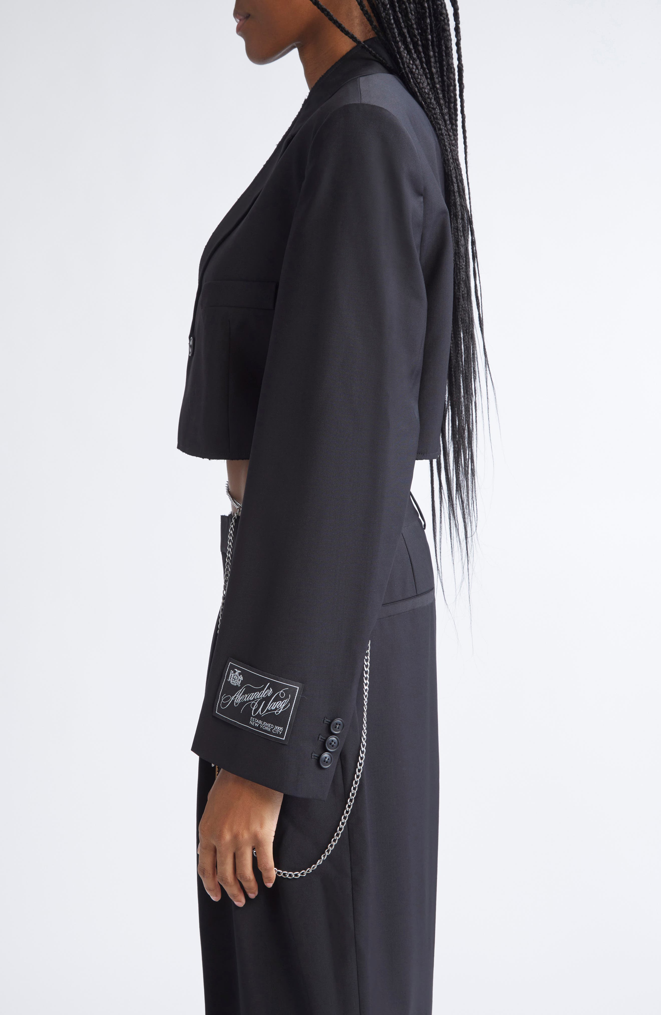Alexander Wang Chain Embellished Crop Blazer in Black at Nordstrom - 4