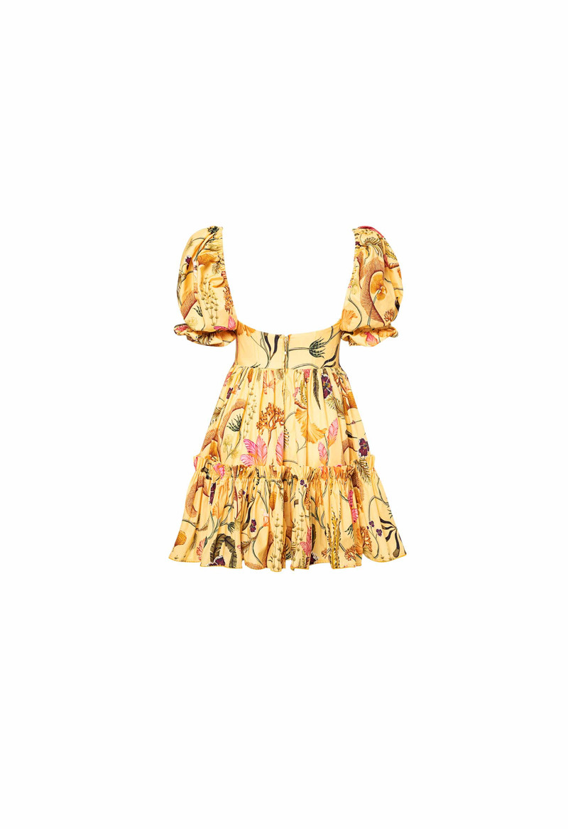 Alaria Habitat Mini Dress 3