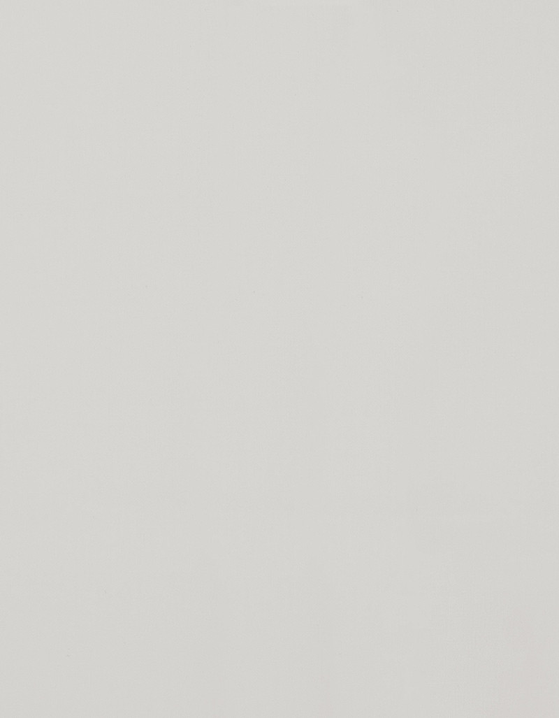 IMPECCABILE REGULAR FIT SHIRT IN WHITE COTTON 4