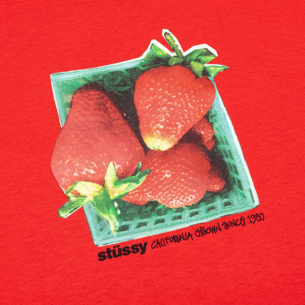 BERRIES TEE - CAYENNE - 3