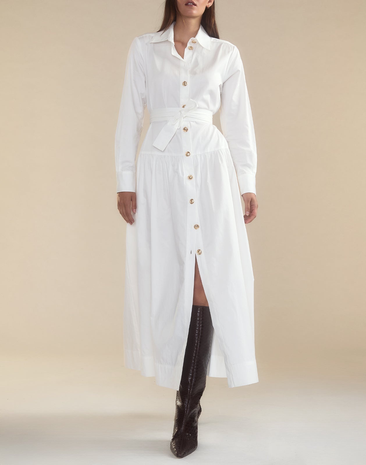 Perennial Shirt Dress - 3