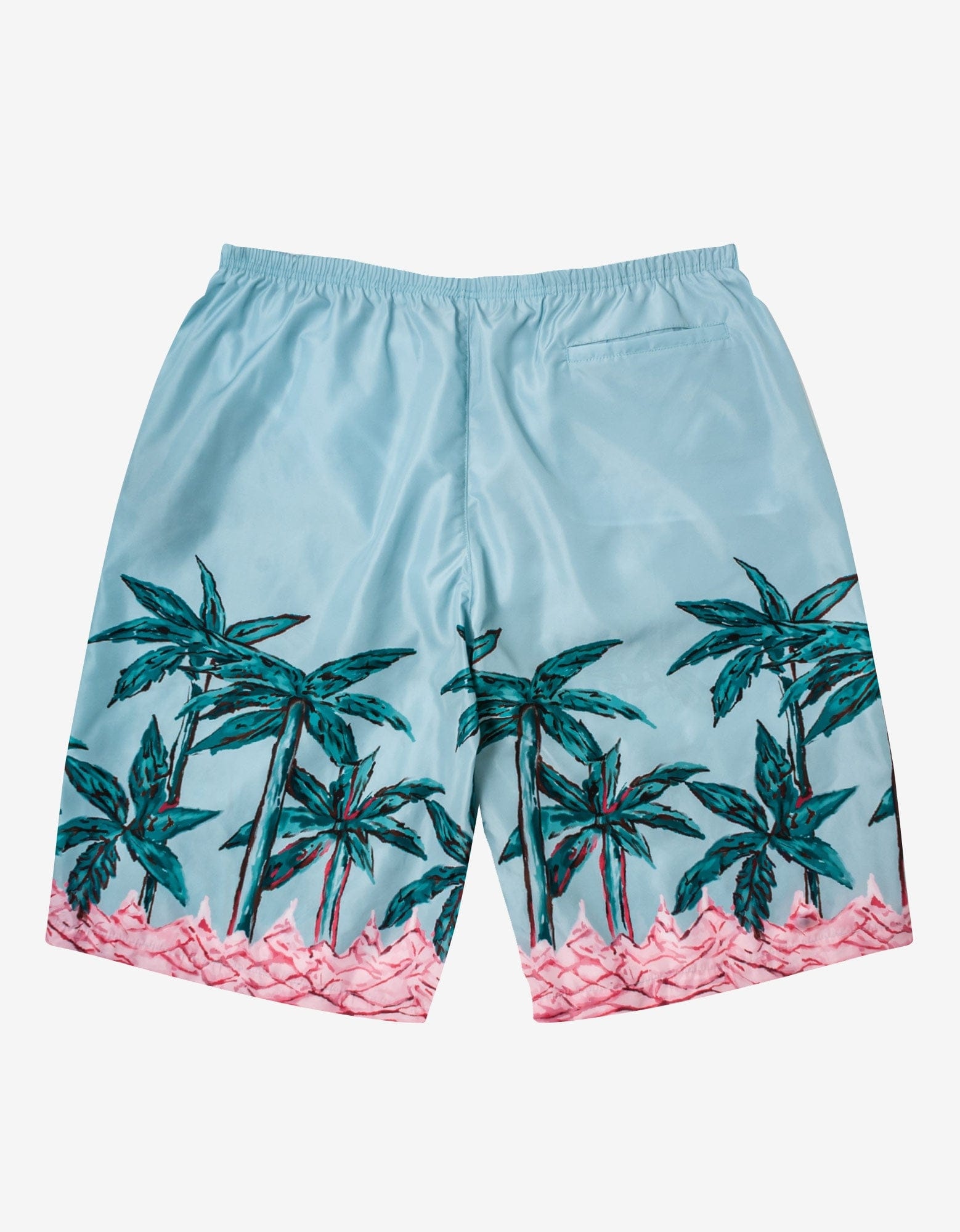 Blue Palms Row Long Swim Shorts - 2