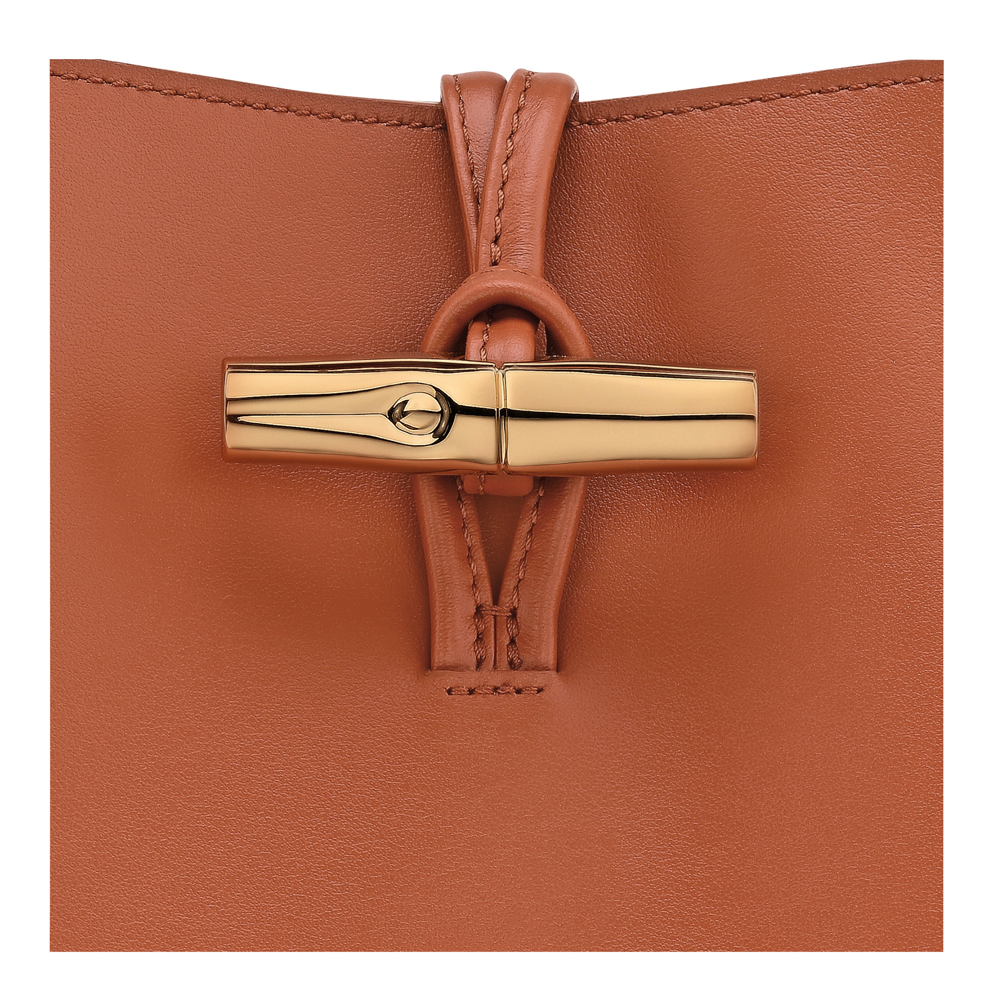 Le Roseau Hobo bag Bark - Leather - 6