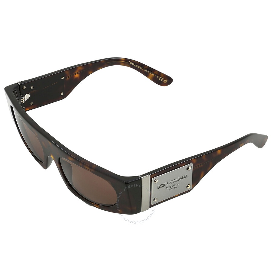 Dolce and Gabbana Dark Brown Browline Ladies Sunglasses DG4411 502/73 54 - 5