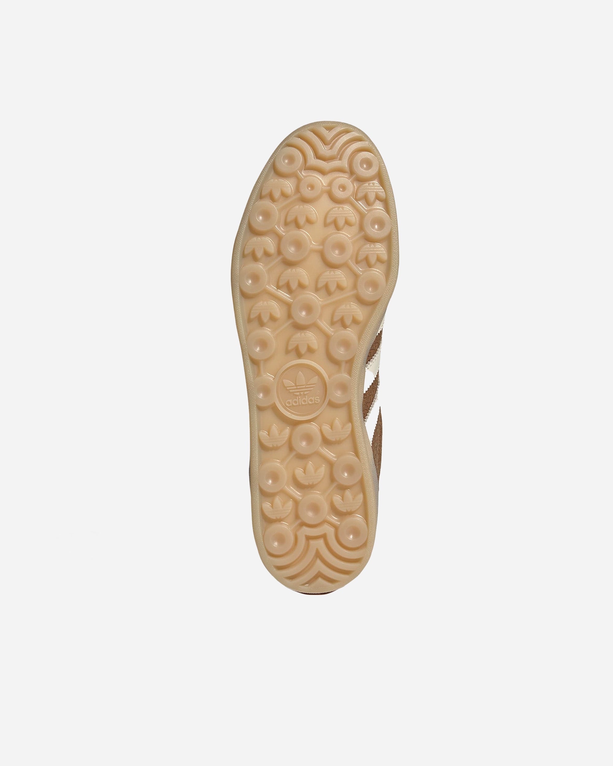 Gazelle Indoor - 5