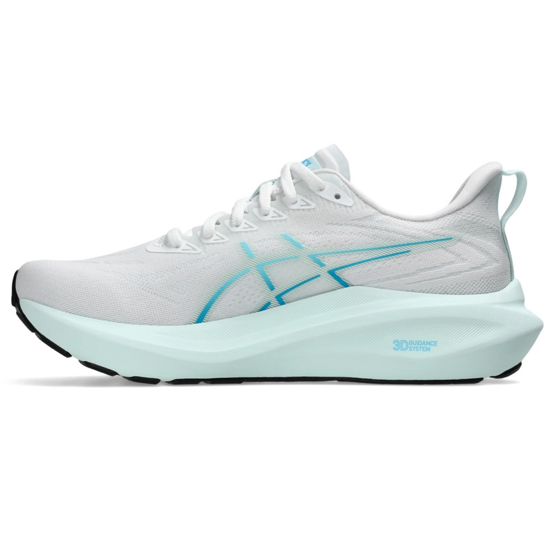Asics GT-2000 13 outlook