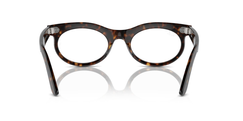 WAYFARER OVAL OPTICS 6
