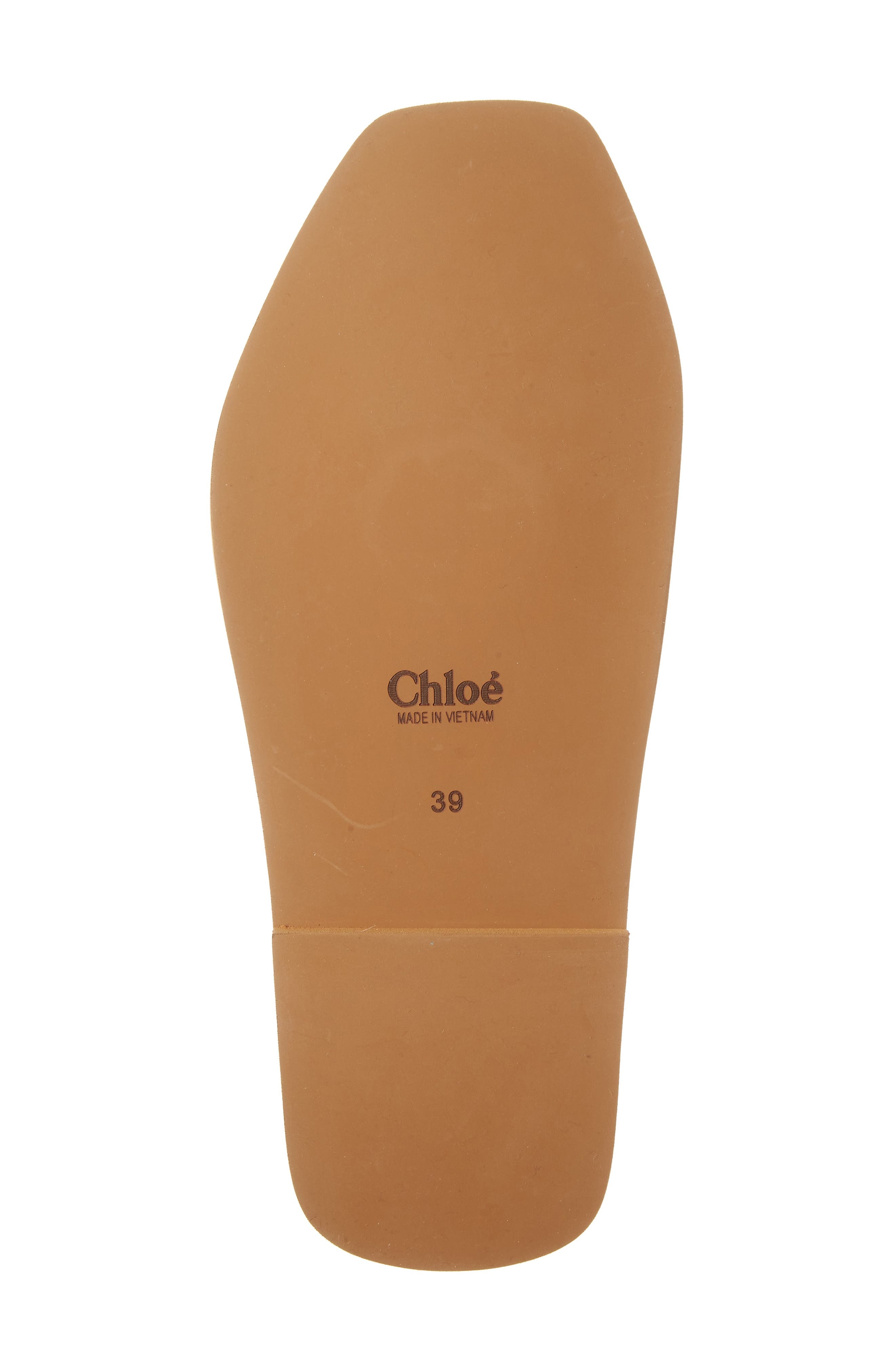 Chloé Woody Logo Velvet Slide Sandal in Light Rosewood at Nordstrom - 6