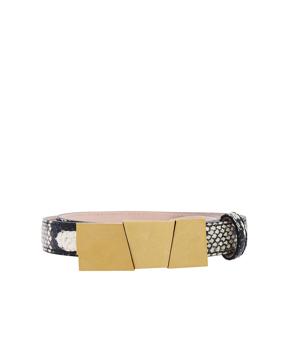 Axel Antique Gold 20mm Belt - 3