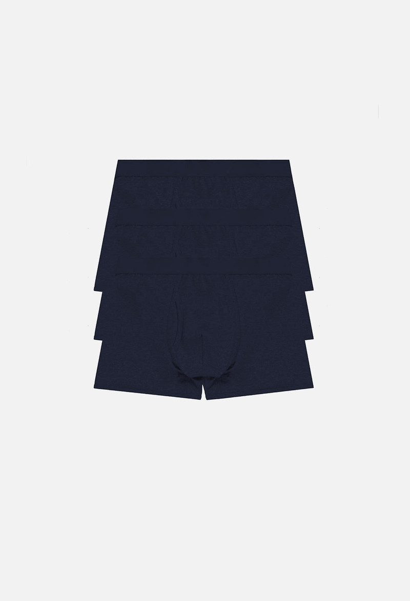 FOUNDATION 3 PACK BOXER BRIEF 1