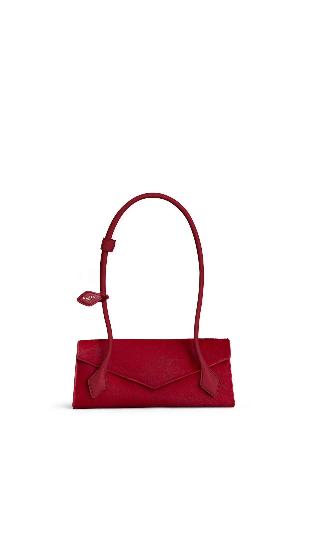 LE TECKEL FLAP SMALL BAG IN HAIRCALF - 1