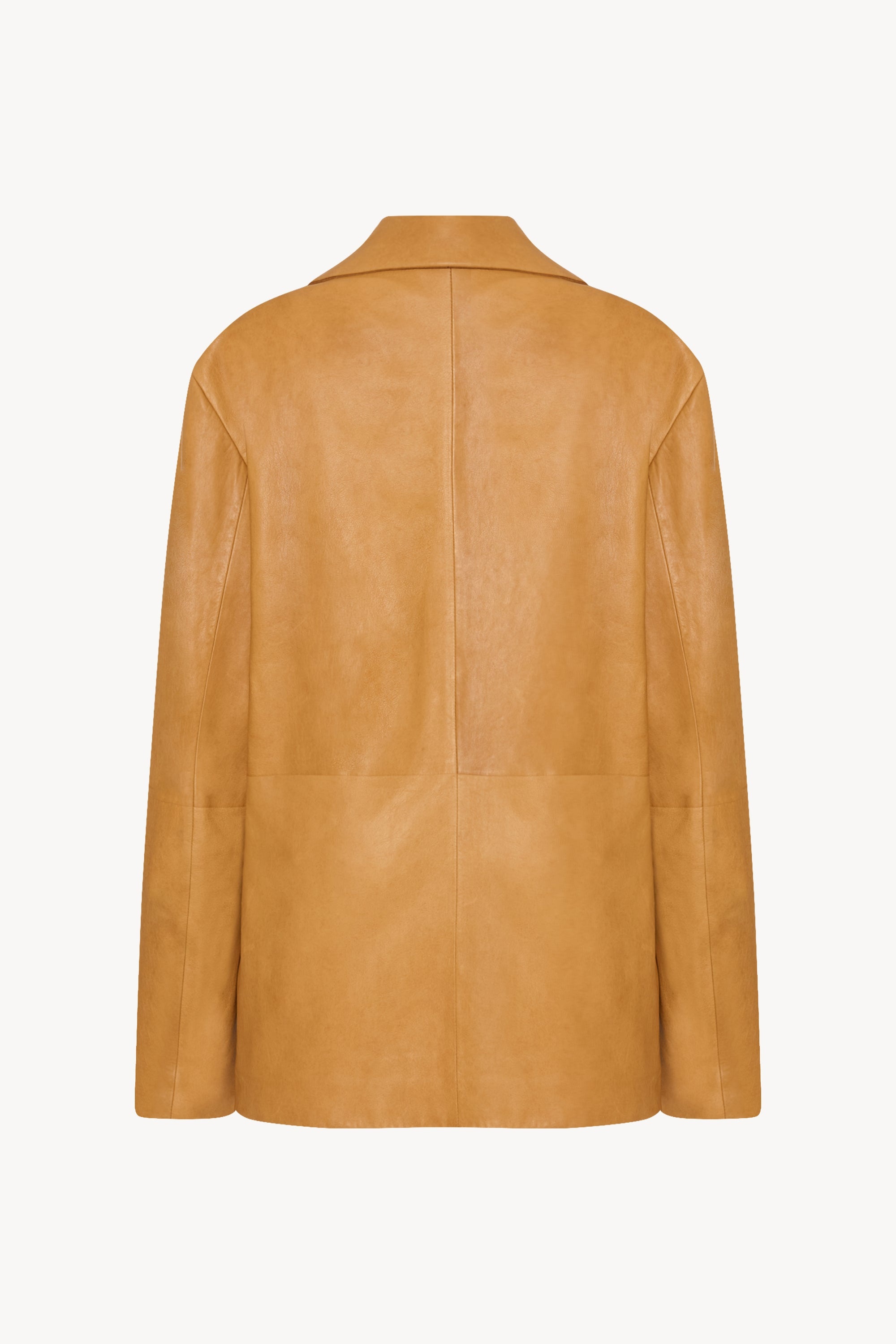 Fabian Jacket in Leather - 2