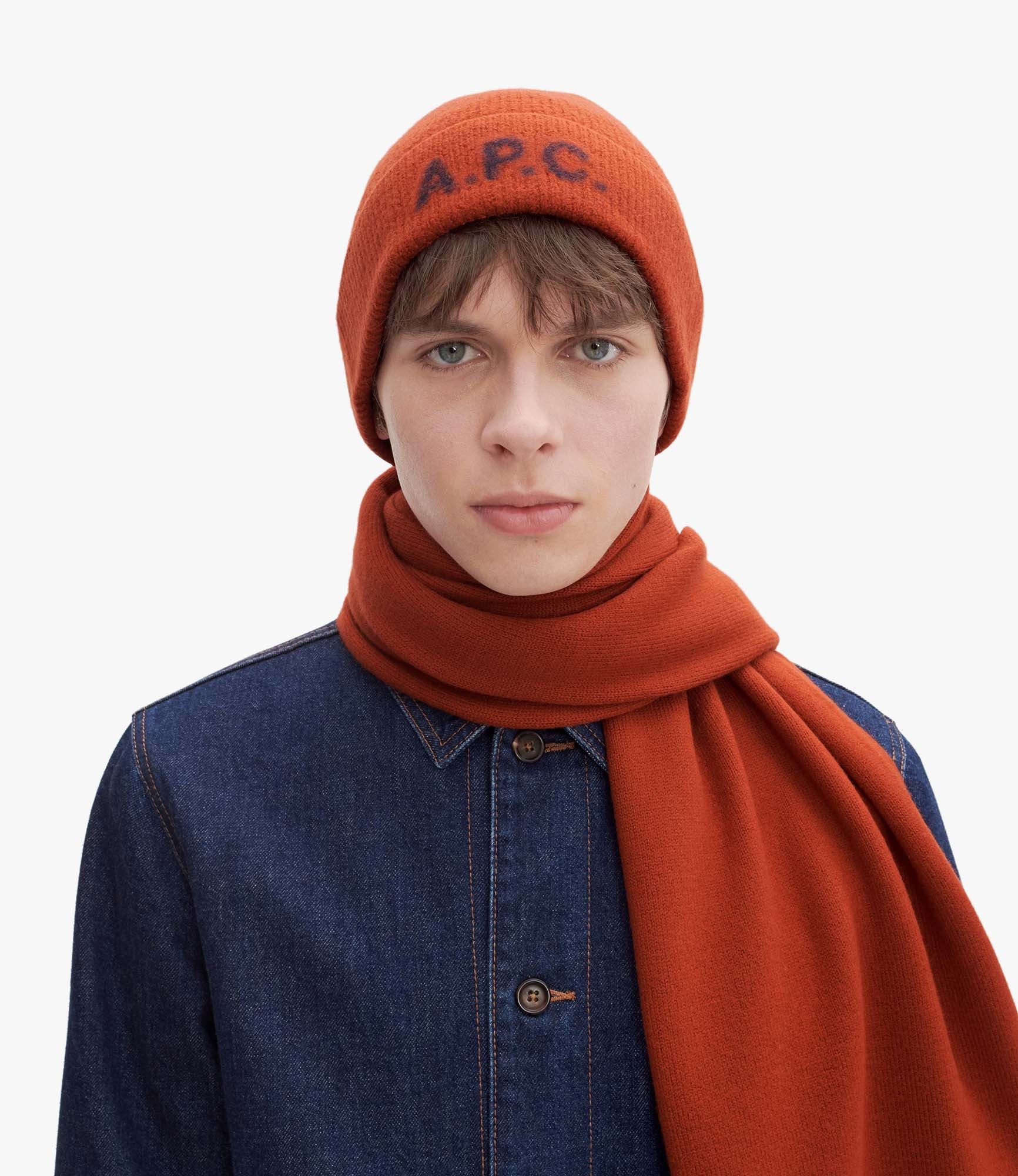 HARRY BEANIE - 2