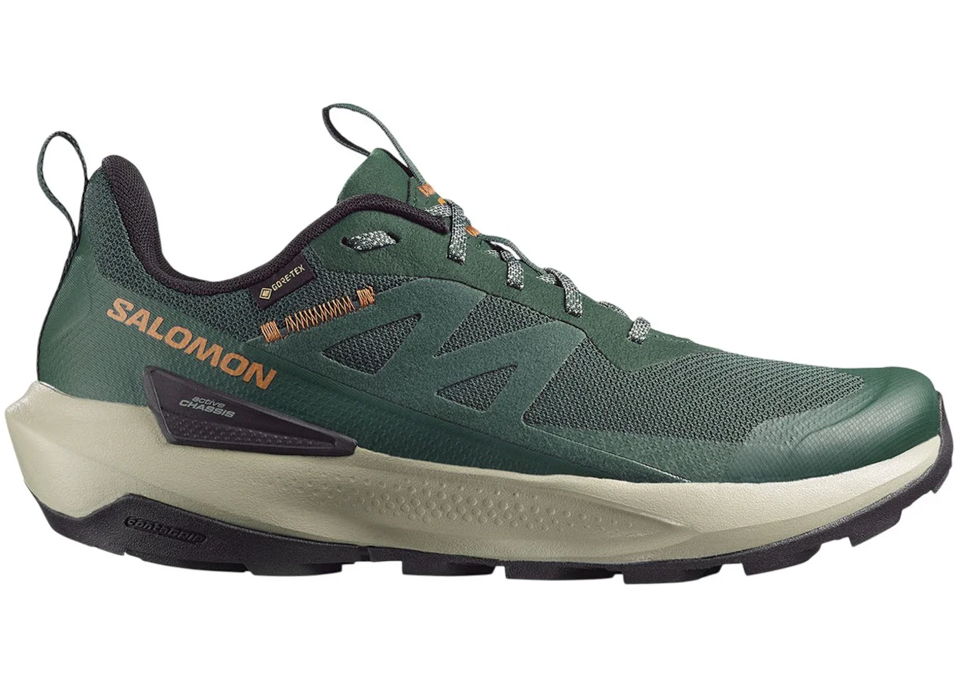 Salomon Elixir Activ Gore-Tex Scarab Green Gable - 1