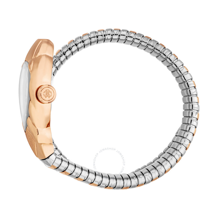 Roberto Cavalli Fiaba Silver-tone Dial Ladies Watch RC5L110M0085 - 3