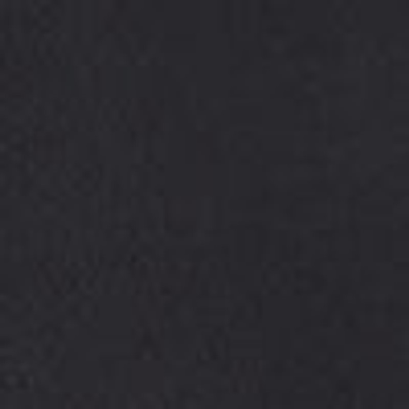 Camdem Bag in Leather 4